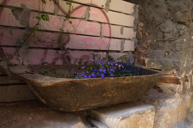 写真 通りの花壇