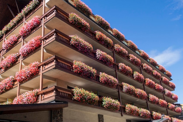 写真 建物の花がいた正面