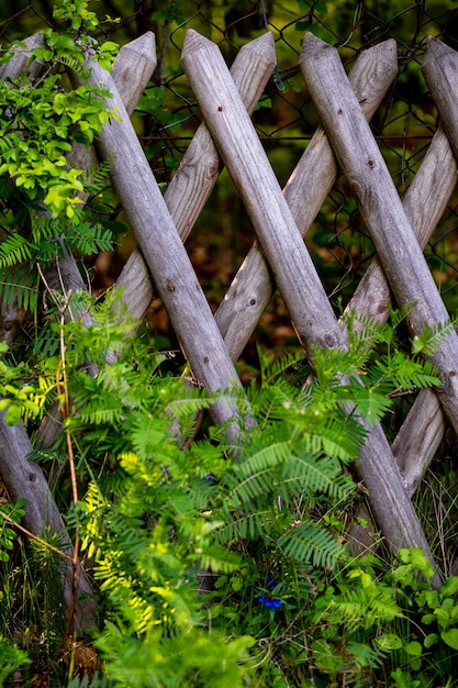 Flowered Fence