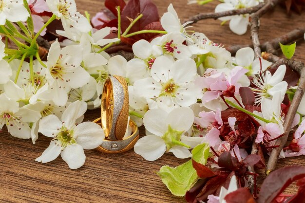 Flowering branch with white delicate surface. Declaration of love, spring. greeting. Wedding bouquet,