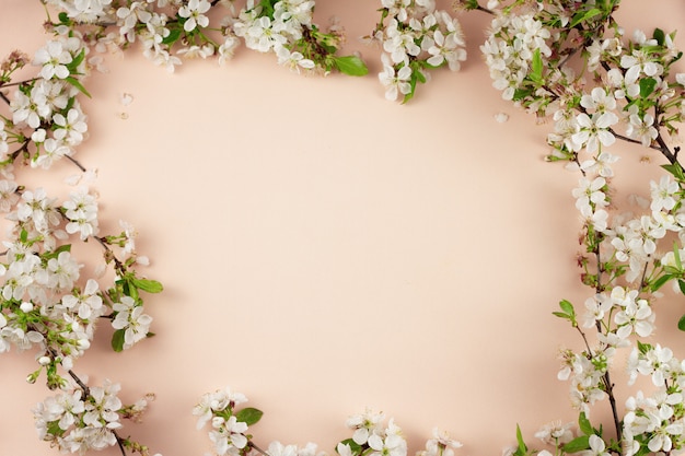 Flowering branches on a pastel background with a place for an inscription.