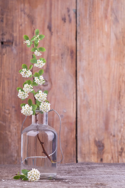 Flowering branches in a vase on a wooden texture. Japanese style wabi sabi. Home decor