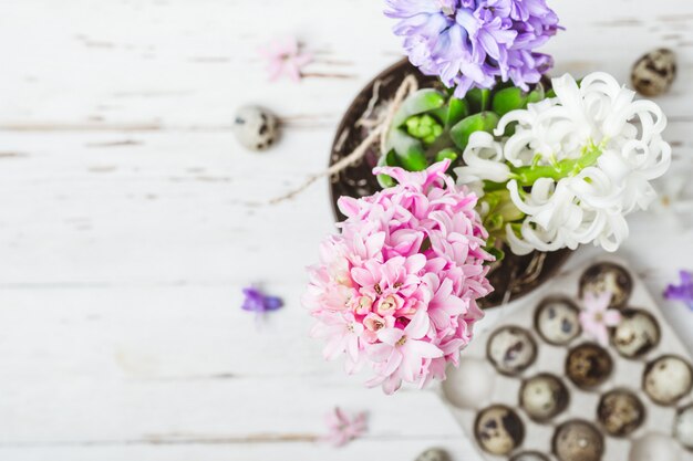 Flowering hyacinth flowers and quail eggs