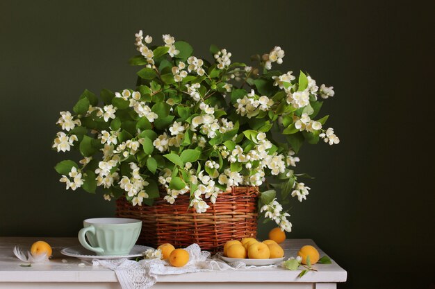 Flowering Jasmine branches in the basket and apricots