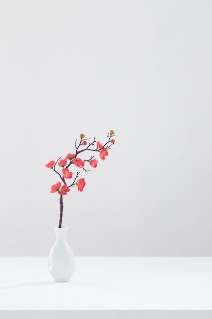 Flowering pink cherry branch in white vase on white background