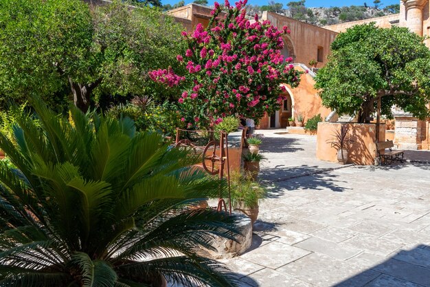 Flowering plants by footpath in garden