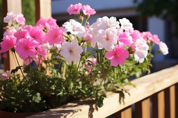 Flowering potted plants for decorating balconies and terraces Selective focus Generative AI content