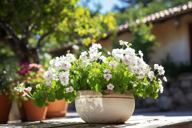 Flowering potted plants for decorating balconies and terraces Selective focus Generative AI content