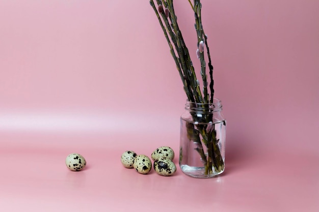 A flowering willow stands in a jar of water next to an egg on a pink background