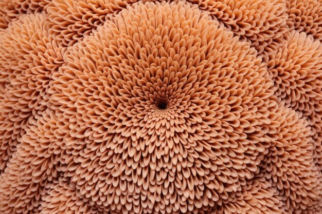 Photo flowerpot coral surface detail