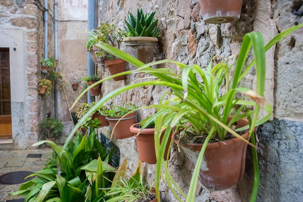 flowerpots street in the tourist island of Mallorca, Valdemosa city in Spain