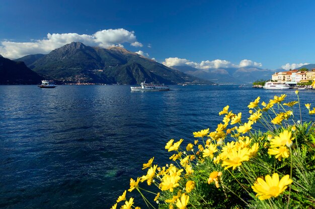 Flowers against calm lake