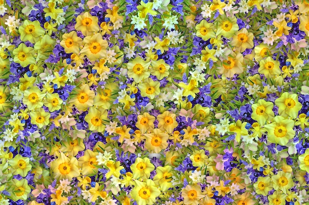 Flowers Background Flowers Picture