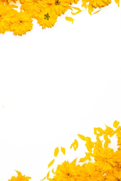 写真 花の背景白い背景に明るい黄色の花のフレームとボーダーパターン上面図コピースペース花柄生地の花柄夏と春に咲く黄色い花