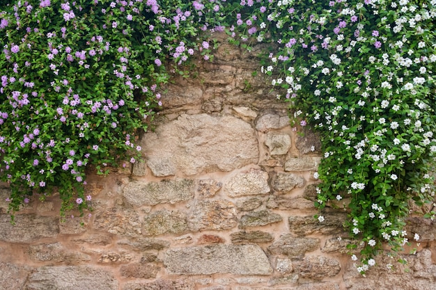 Foto fiori su uno sfondo di muro di pietra