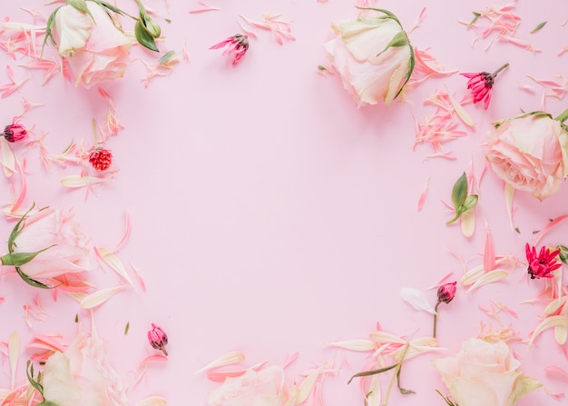 Flowers background