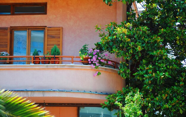 Flowers on the balconies of European cities.