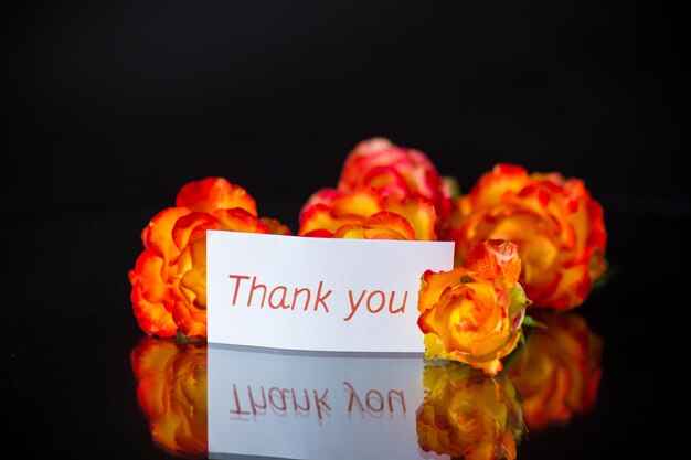 Flowers of beautiful blooming red rose isolated on black background