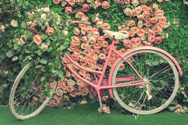 Flowers and bicycle