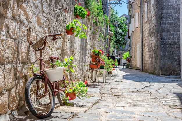 Flowers and bicycle