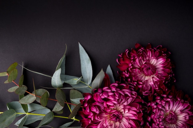 flowers on a black background