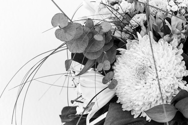 Flowers in black and white on white background. Copy space.