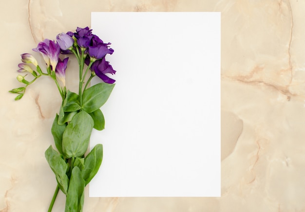 Flowers and blank paper card 