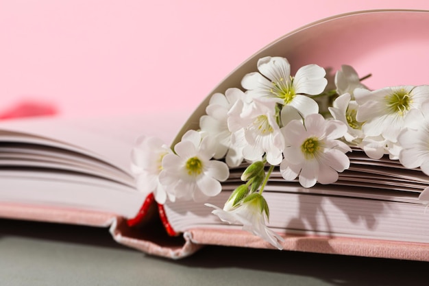 Flowers in book on pink background close up