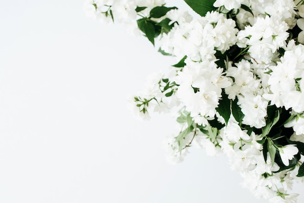 흰색 표면에 꽃 꽃다발
