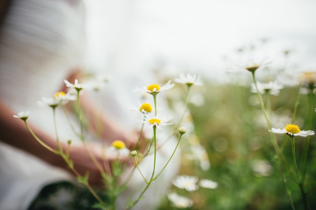 Flowers and bride in the field