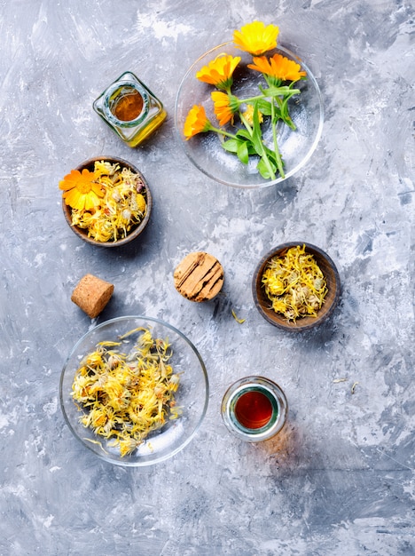 Calendula officinalis di fiori