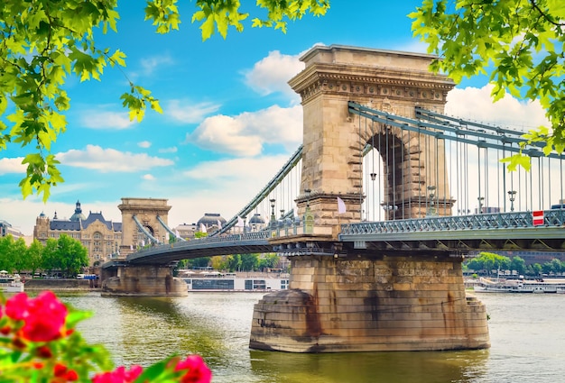 Flowers and Chain bridge