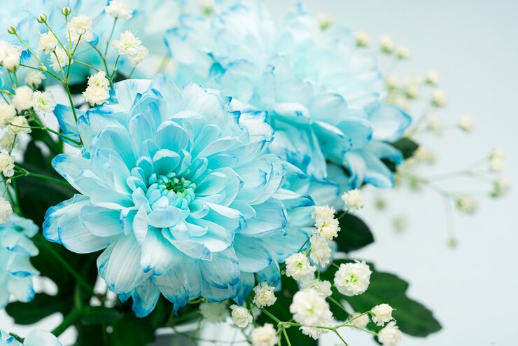 Photo 花、薄緑の菊のクローズアップ、花束。春の組成
