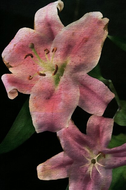 Flowers close-up, water color mark, irises and lilies