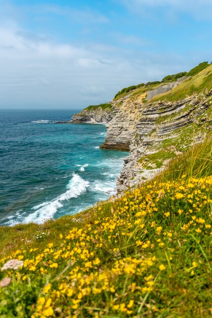 Flowers on the coast and the sea from the natural park of Saint Jean de Luz called Parc de Sainte Barbe, Col de la Grun in the French Basque country