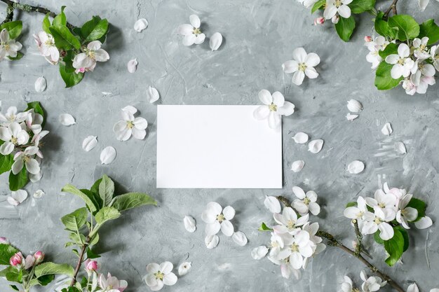 Flowers composition apple tree flowers on pastel gray background spring concept flat lay top view