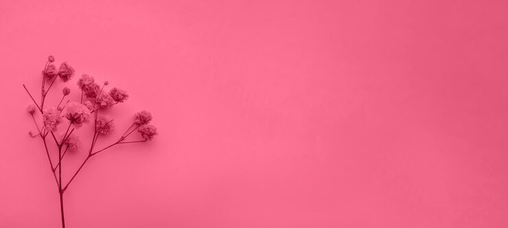 Flowers composition background in the color of the year 2023 Viva Magenta