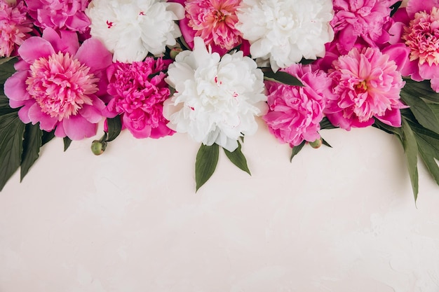 花の組成パステル調の背景にピンクと白の牡丹の花で作られた境界線フラット レイアウト コピー スペースとトップ ビュー