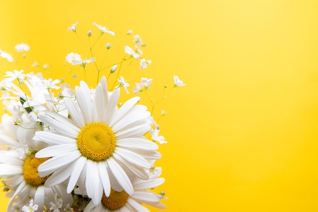 Flowers composition Chamomile flowers on yellow background Spring summer concept top view copy space