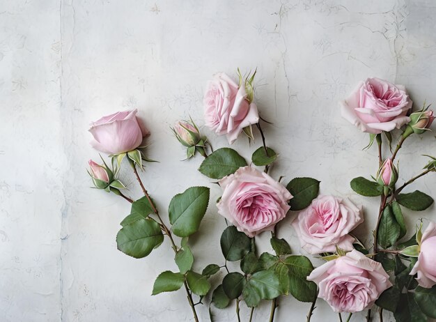 Flowers composition Frame made of dried rose flowers on white background