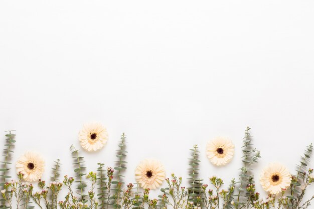 Flowers composition. Frame made of pastel gerbera on white background. Flat lay, top view, copy space.