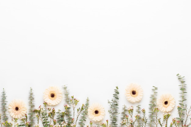 Flowers composition. Frame made of pastel gerbera on white background. Flat lay, top view, copy space.