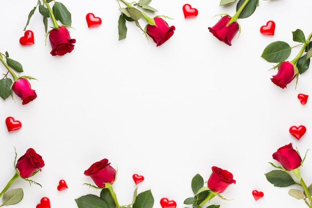 Composizione di fiori. cornice fatta di rosa rossa su sfondo bianco. appartamento laico, vista dall'alto, copia dello spazio.