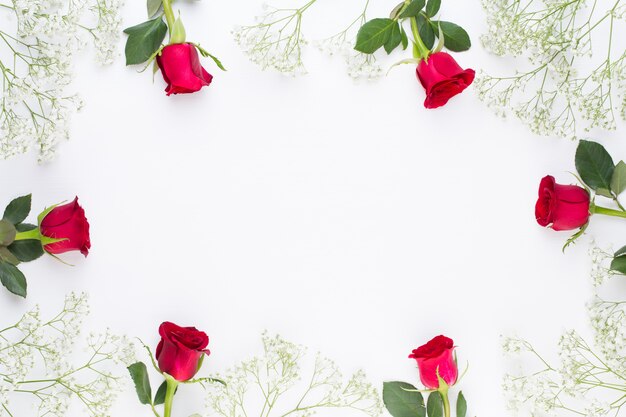 Flowers composition. Frame made of red rose on white background. Flat lay, top view, copy space.