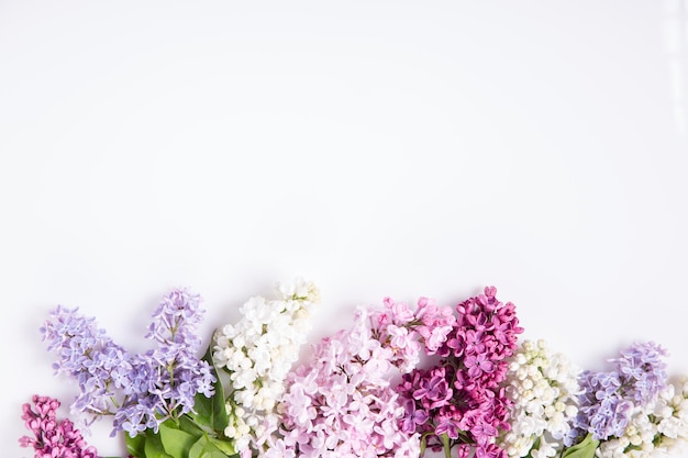 Flowers composition Frame made of romantic lilac flowers on white background Flat lay top view copy space