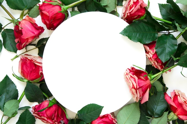 Flowers composition. Frame made of rose flowers on white background. Flat lay, top view, copy space