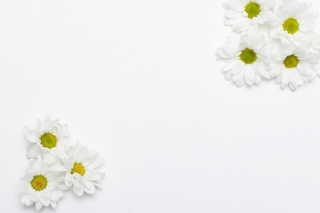 Foto composizione di fiori cornice fatta di vari fiori gialli su sfondo bianco concetto di primavera estiva di pasqua spazio di copia di vista superiore piatto