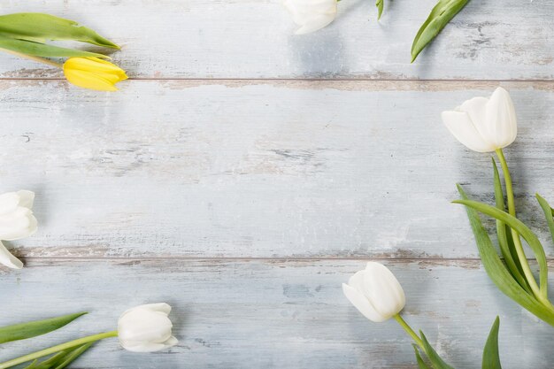 Photo flowers composition frame made of white flowers on blue background