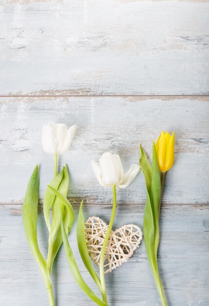 Photo flowers composition frame made of white flowers on blue background