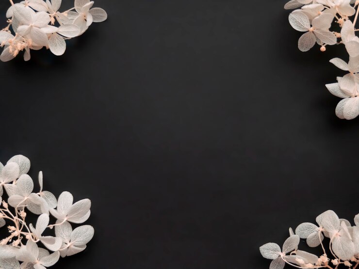Flowers composition. Frame made of white flowers hydrangea on black background. Valentines day, mothers day and womens day concept. Flat lay, top view.